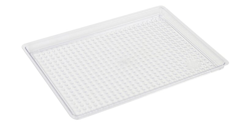 Auslagetablett Präsentationsschale Ausstelltablett Polycarbonat Lebensmittelecht 235 x 175 mm