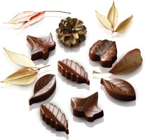 Silikon Schokoladen-Form Pralinenform Blätter/Leafs...