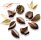 Schokoladenform Pralinenform Backform Silikon NATURE LEAFS 2x4=8 Mulden a 11ml