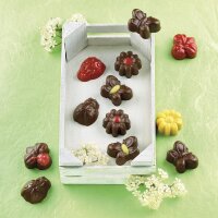 Silikon Schokoladen-Form Pralinenform...