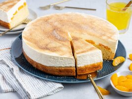 Springform Emailliert Ø 240 mm