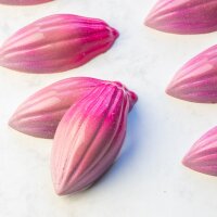 Schokoladenform Pralinenform Motiv KAKAOBOHNE