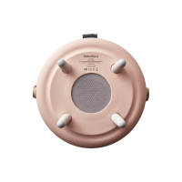 Kooduu LED Lampe mit Bluetooth Lautsprecher Lite-up Play Light rose