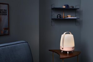 Kooduu Lite-up Play Light rose