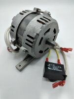 Motor für RIO-220/250/275 (B-Ware)