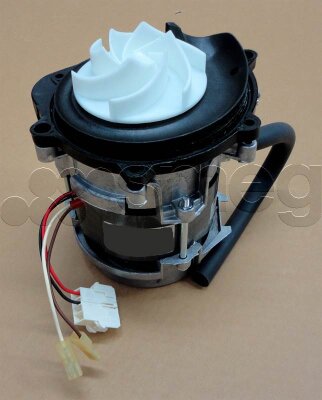 SMEG Motor Baugruppe