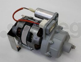 SMEG Gr. Rinsing Motor