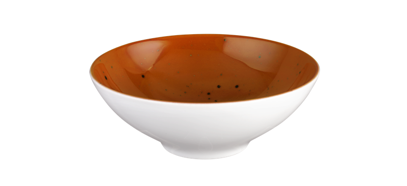 6 x Coupschale Müslischale Terrakotta 14,5cm COUNTRY LIFE Seltmann Weiden