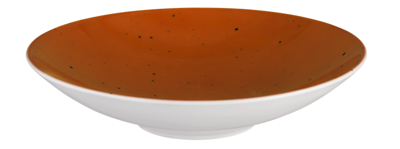6 x Coupschale Pastabowl Dessertschale Terrakotta 23cm COUNTRY LIFE Seltmann Weiden