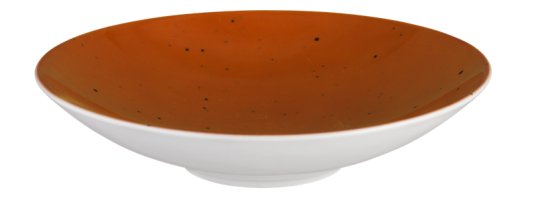 6 x Coupschale Pastabowl Dessertschale Terrakotta 23cm...