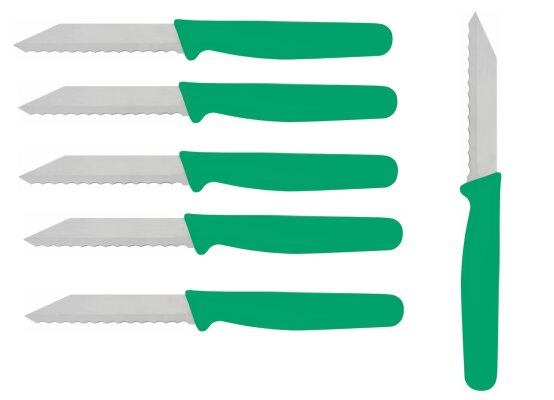 6 x Brötchenmesser Gemüsemesser Tomatenmesser Wellenschliff 18cm Griff Grün