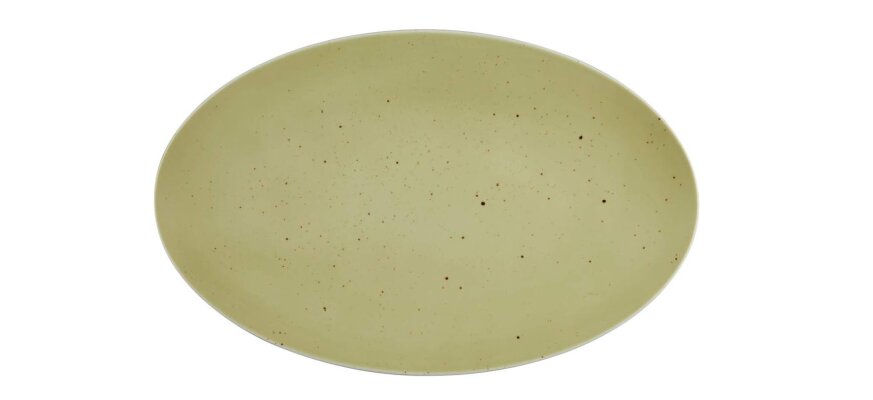 2 x Coupplatte Servierplatte Oliv 40x25,5cm COUNTRY LIFE Seltmann Weiden