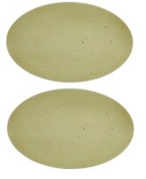 2 x Coupplatte Servierplatte Oliv 40x25,5cm COUNTRY LIFE Seltmann Weiden