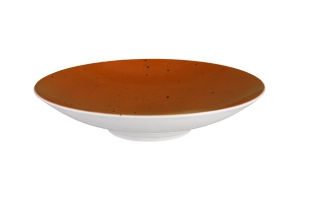 6 x Coupschale Tiefe Schüssel Terrakotta 26cm COUNTRY LIFE Seltmann Weiden