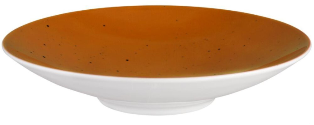 4 x Coupschale Suppenschale Terrakotta 28cm COUNTRY LIFE Seltmann Weiden
