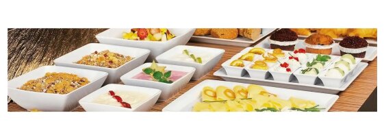 Schale Schüssel 23x23cm BUFFET GOURMET Porzellan...
