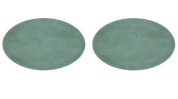 2 x Coupplatte Servierplatte Petrol 40x25,5cm COUNTRY LIFE Seltmann Weiden