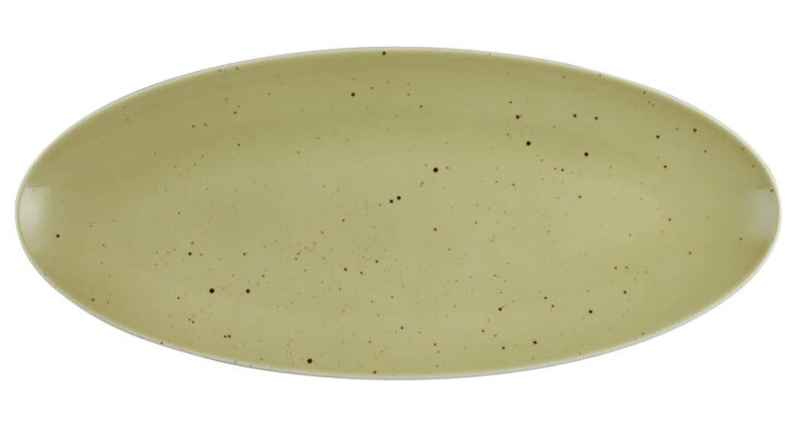 2 x Coupplatte Servierplatte Oliv 43x19cm COUNTRY LIFE Seltmann Weiden