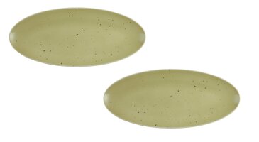 2 x Coupplatte Servierplatte Oliv 43x19cm COUNTRY LIFE Seltmann Weiden