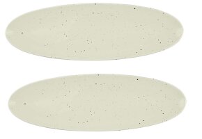 2 x Coupplatte Servierplatte Champagner 44x14cm COUNTRY LIFE Seltmann Weiden