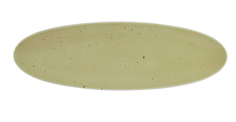 2 x Coupplatte Servierplatte Oliv 44x14cm COUNTRY LIFE Seltmann Weiden