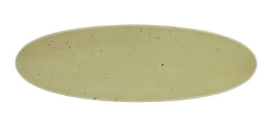 2 x Coupplatte Servierplatte Oliv 44x14cm COUNTRY LIFE Seltmann Weiden