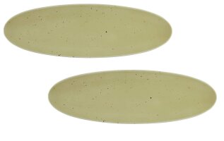 2 x Coupplatte Servierplatte Oliv 44x14cm COUNTRY LIFE Seltmann Weiden