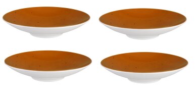 Tafelservice 6x Coupteller 30cm/4x Coupschale 28cm Terrakotta COUNTRY LIFE Seltmann Weiden