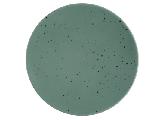 6 x Coupteller Speiseteller flach Petrol 16,5cm COUNTRY LIFE Seltmann Weiden