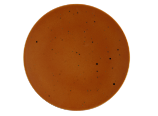 6 x Coupteller Speiseteller flach Terrakotta 16,5cm COUNTRY LIFE Seltmann Weiden