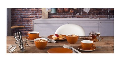 6 x Coupteller Speiseteller flach Terrakotta 16,5cm COUNTRY LIFE Seltmann Weiden