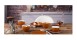 6 x Coupteller Speiseteller flach Terrakotta 16,5cm COUNTRY LIFE Seltmann Weiden