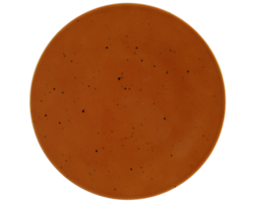 6 x Coupteller flach Essteller Terrakotta 21,5cm COUNTRY LIVE Seltmann Weiden